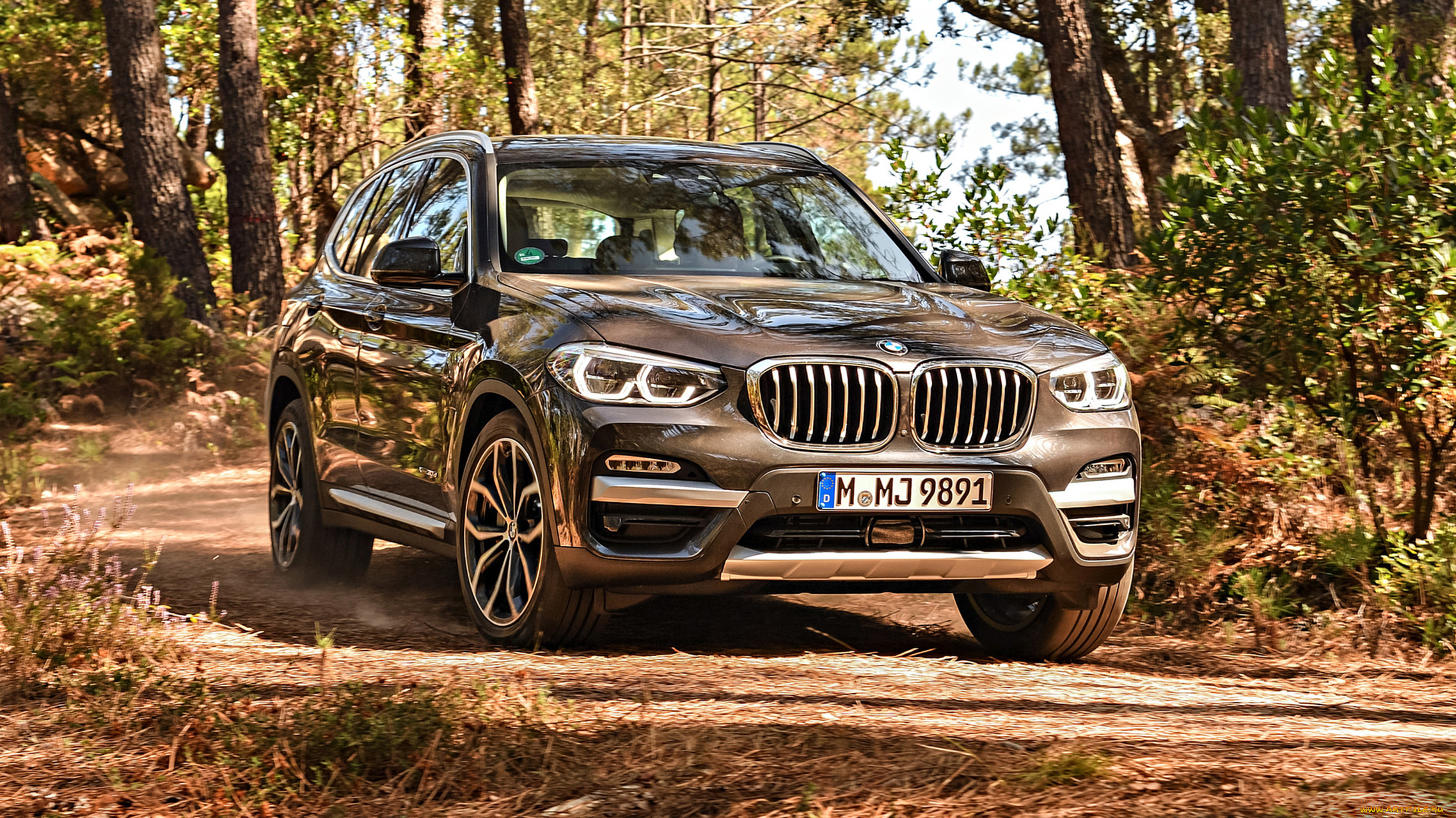 bmw x3 xdrive30d 2018, , bmw, x3, xdrive30d, 2018, 